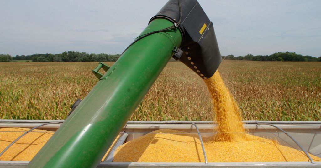 Russia bans American corn and soybeans, calling them 'unfit for human consumption'