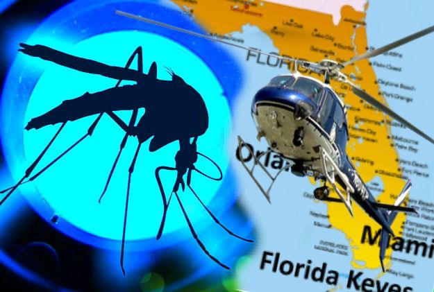 Brazils GM mosquitoes are spreading brain cancer