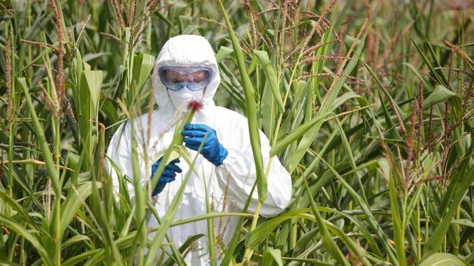 Scientists claim that Glyphosate is responsible for chronic disease amongst many Americans