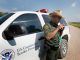 U.S. border agents ordered to 'stand down' and allow illegal immigrants to enter