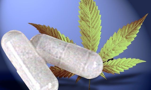 Cannabis pills proving more effective at treating pain than traditional painkillers