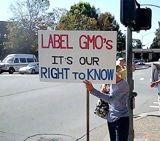 Corporate donors gave $11 million to stop the labelling of GMO food products