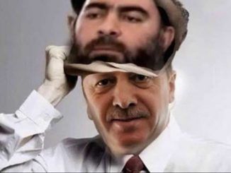 Erdogan wants Turkey to fight terrorists he created