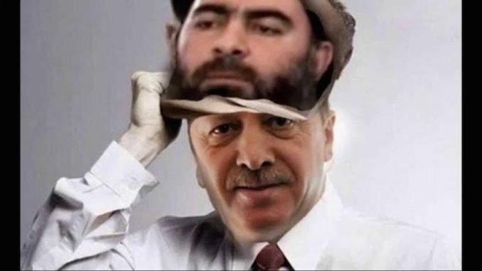 Erdogan wants Turkey to fight terrorists he created