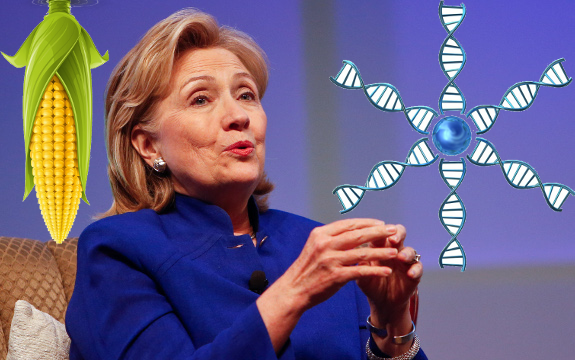 Gates Foundation Confirm Hillary Clinton's Support For GMOs