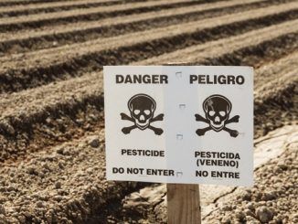 Multiple cities on the West coast of America are suing Monsanto for their toxic, poisonous ingredients