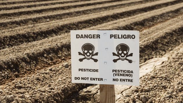 Multiple cities on the West coast of America are suing Monsanto for their toxic, poisonous ingredients