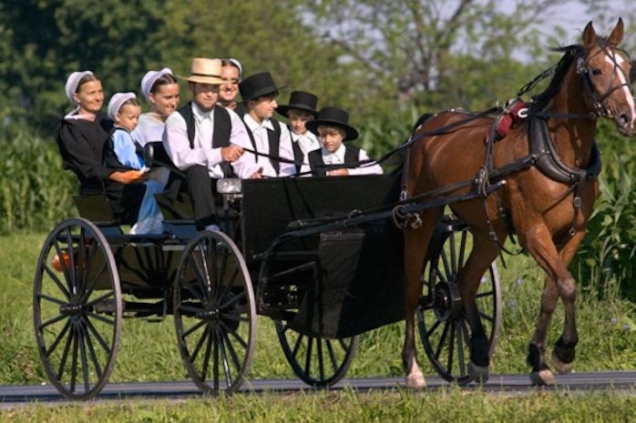 Why don't Amish people get cancer?