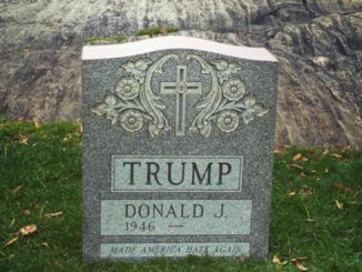 Donald Trump's tombstone on display in New York's central park
