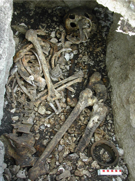 These bones were discovered behind McCuaig's Bar in County Antrim, Northern Ireland. A DNA analysis of them challenges conventional history. (Photo by Queen's University Belfast)