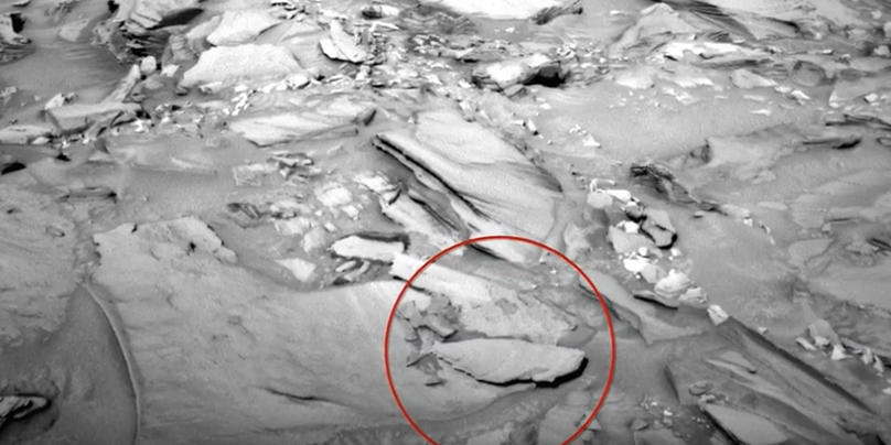 Alien Hunter Spots 'Fish' On Mars