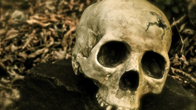 Shakespeare's skull stolen from grave