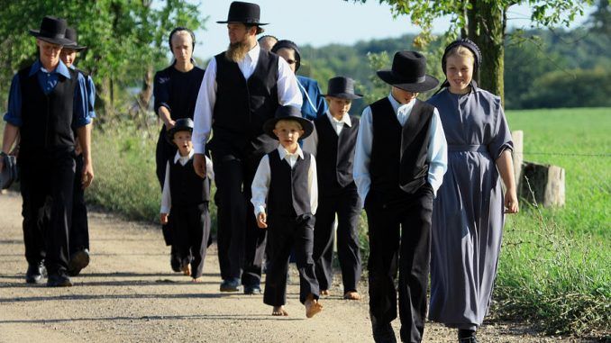 Why don't Amish children get autism like the rest of the population?