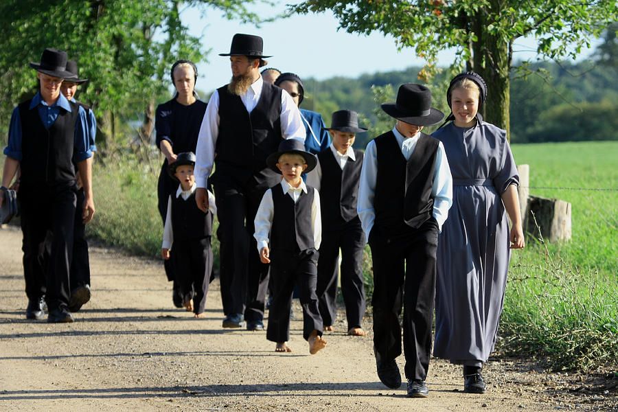 Why don't Amish children get autism like the rest of the population?