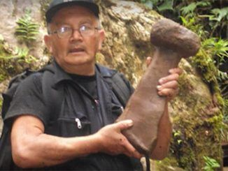 Researchers say lost city of giants in Ecuador one of the most significant discoveries in recent history