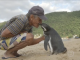 Penguin Swims 5,000 Miles Each Year To Visit Man Who Saved His Life