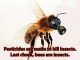 Monsanto's Big Secret: GMO Insect Planned To Replace Honey Bee