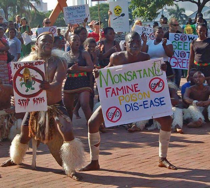 Thousands of South Africans rise up and reject Monsanto