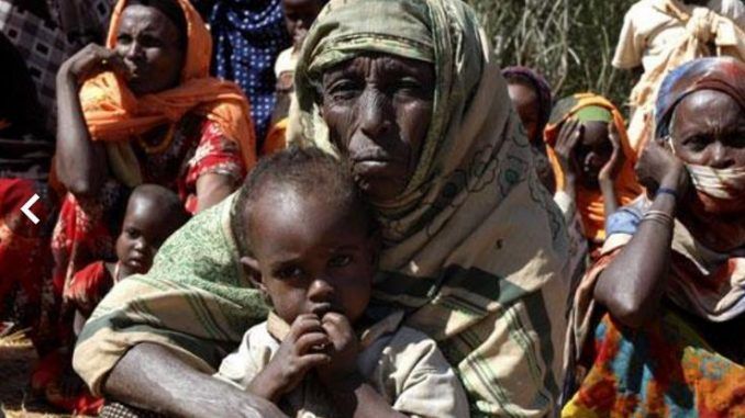 Ethiopia warn the world they are about to suffer another famine