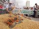 Hungary destroy Monsanto GMO cornfields across the country