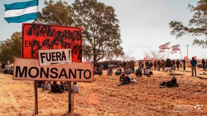 Monsanto taking Argentinian government to court over GM seed row