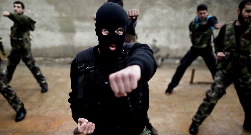Pentagon Enrolls Syrian Rebels In New Training Program