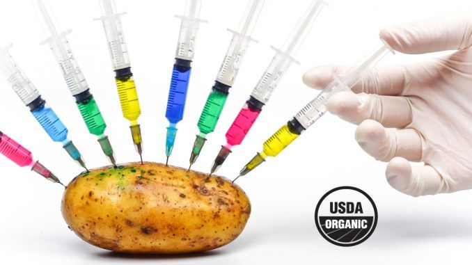 USDA announces that it will not regulate GMOs