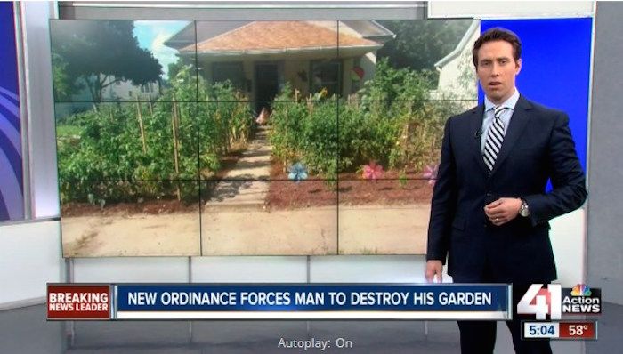 American family ordered to destroy vegetable patch in their garden, as city outlaws growing of vegetables
