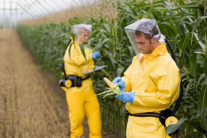 Cancer-causing Mosanto's Glyphosate Herbicide Found in Urine of 93% of Americans