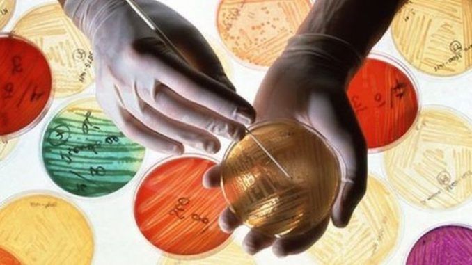 Scientists turn to holistic medicine as antibiotic resistance continues to rise