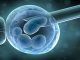 Netherlands Gives Green Light For Scientists To Grow Human Embryos