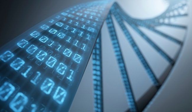 synthetic-human-genome