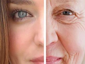 Scientists discover DNA technique that reverses ageing process by 20 years