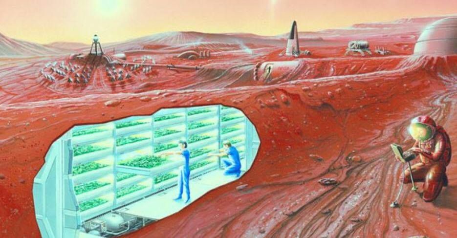 With NASA, tech billionaires, multinational corporations, and nonprofit organizations all involved in the new space race - vying to colonize the stars, with Mars lined up as humanity’s next home — researchers have offered a glimpse of what government on the Red Planet could look like.