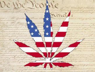 US government to legalise marijuana nationwide