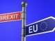 Expert - Brexit Will Cause Temporary Turmoil But UK Will Remain In EU