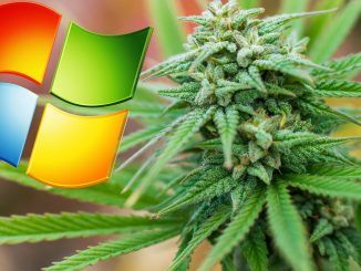 Microsoft Is Getting Into The Marijuana Business