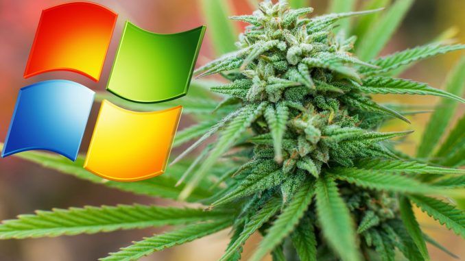 Microsoft Is Getting Into The Marijuana Business