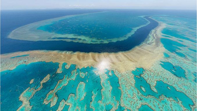 Scientists Warn Great Barrier Reef Is On Brink Of Collapse
