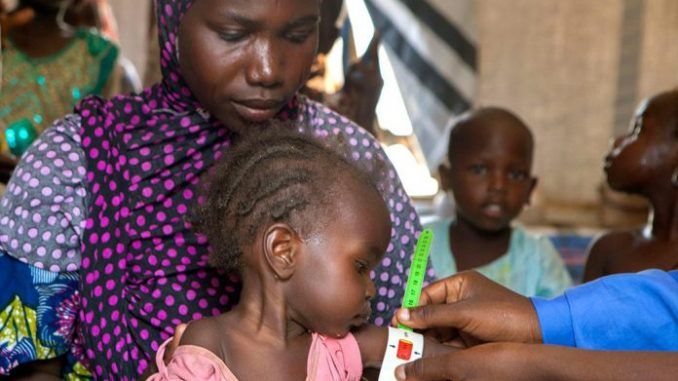 Northeastern Nigeria Close To Famine Says MSF