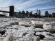 German scientists warn of miniature ice-age