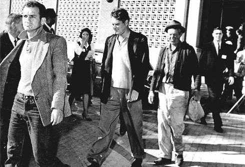 The three tramps arrested in the wake of the Kennedy assassination have long been suspected of being conspirators