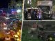 France - At Least 60 Dead As Truck Plows Into Crowd In Nice