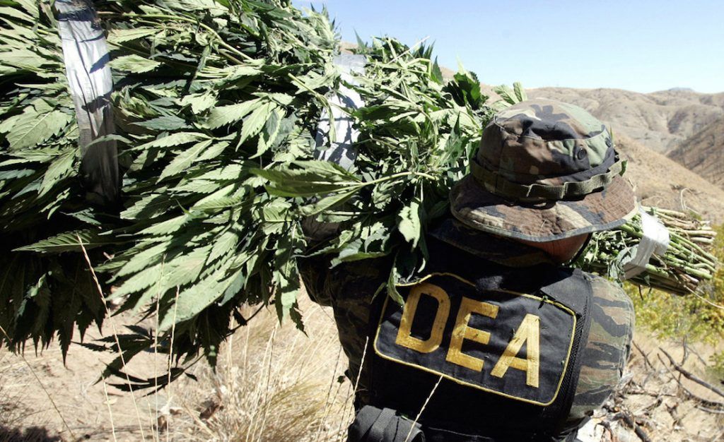 The Drug Enforcement Agency refused to relax restrictions on cannabis last week, meaning marijuana will remain Schedule 1 — the strictest category of the Controlled Substances Act, designated for dangerous and addictive drugs with no medical value