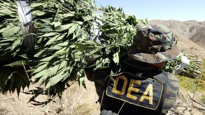 The Drug Enforcement Agency refused to relax restrictions on cannabis last week, meaning marijuana will remain Schedule 1 — the strictest category of the Controlled Substances Act, designated for dangerous and addictive drugs with no medical value