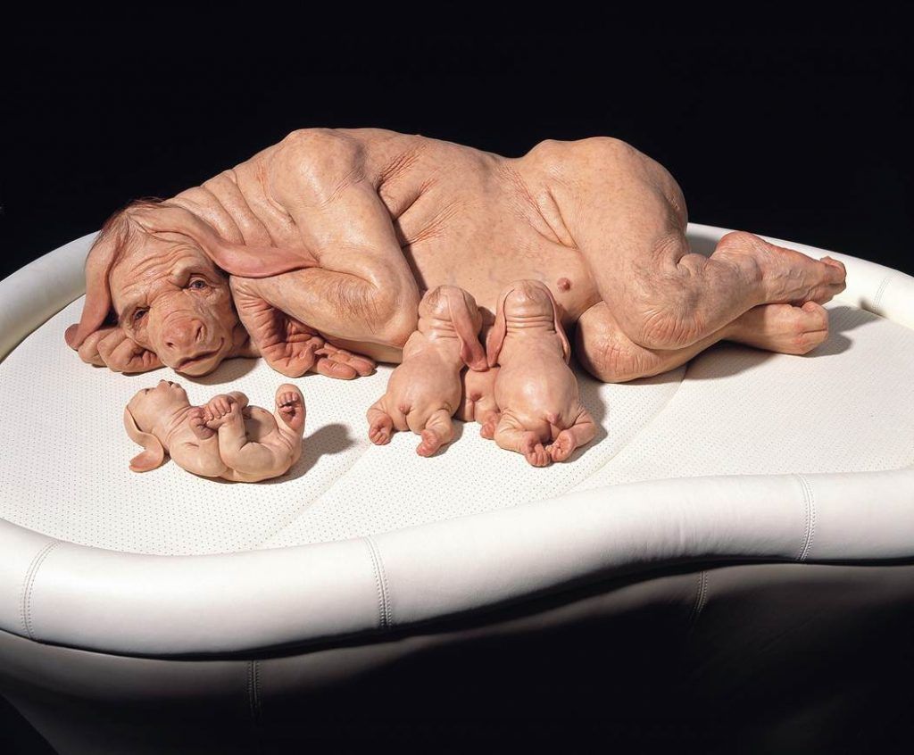 US government authorise animal-human hybrid experimentation