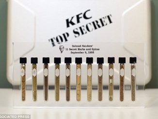 Neurotoxin revealed to be KFC secret ingredient