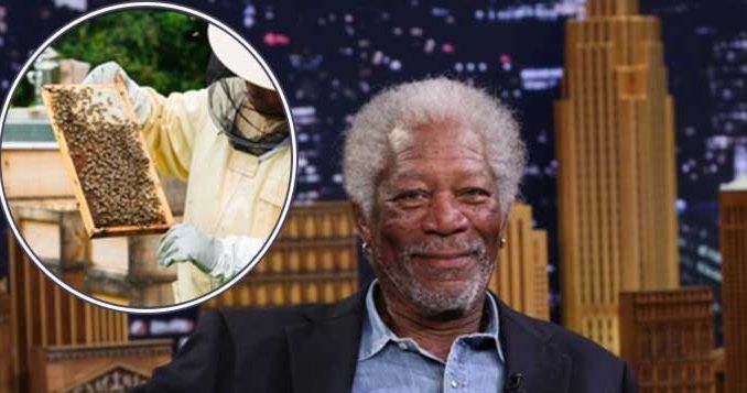Celebrity Morgan Freeman Blames Monsanto For Mass Bee Deaths