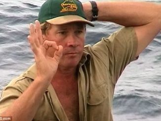A shocking new autopsy on the deceased body of Steve Irwin suggests there may have been foul play involved in his 2006 death.