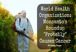 WHO-says-Round-up-probably-causes-cancer